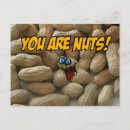 Search for nuts postcards Crazy
