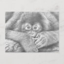 Search for monkey pictures postcards Ape