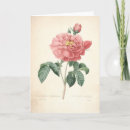 Search for vintage botanical cards Bereavement