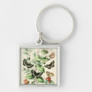 Search for worms key rings Nature