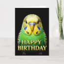 Search for budgie birthday cards Budgerigar