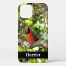 Search for cardinal iphone cases Wildlife