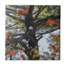Search for eagle tiles Tree