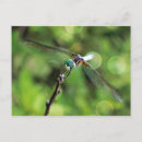 Search for you are here postcards Green