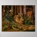 Search for hare art Wildlife