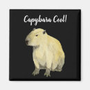 Search for capybara magnets Cool