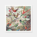 Search for hummingbird napkins Ernst haeckel