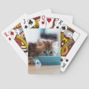 Search for persian photography One animal