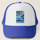 Search for orcas hats Antarctic