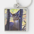Search for white tail key rings Wildlife