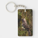 Search for amphibians key rings Water