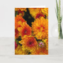 Search for mom thinking of you cards Floral
