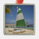 Search for fiji christmas tree decorations Beach