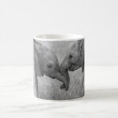 Search for elephant calf mugs Animals in the wild