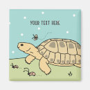 Search for tortoise magnets Turtle