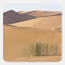 Search for sand dunes stickers Travel