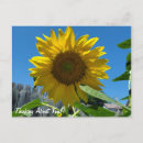 Search for hello sunflower postcards Thinking of you