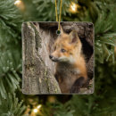 Search for baby fox christmas tree decorations Cute animals