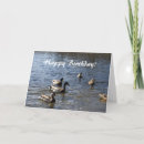 Search for wild duck cards Nature