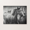 Search for mustang puzzles Equestrian