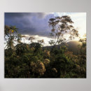 Search for paul souders posters Environment