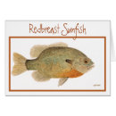 Search for sunfish Fishing