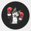 Search for drill team stickers Boxing training