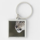 Search for side view key rings Animals in the wild