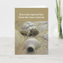 Search for tortoise cards Shell