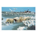 Search for interacting posters Nature