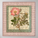 Search for botanist posters Vintage