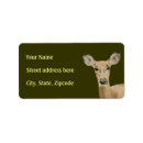 Search for white tailed deer return address labels Wildlife