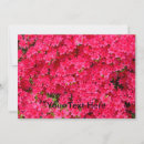 Search for azalea invitations Rhododendron