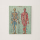Search for anatomy puzzles Skeleton