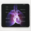Search for lungs mousepads Body