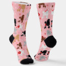 Search for poodle socks Pet