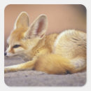 Search for fennec stickers Animal