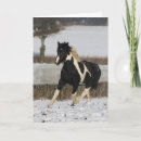 Search for cob cards Horse
