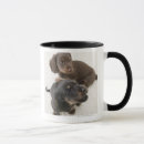 Search for miniature dachshund mugs Dog