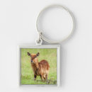 Search for vale key rings Cute