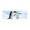 Search for cute penguin return address labels Wildlife
