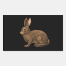 Search for brown hare stickers Wild animal