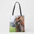 Search for foal bags Colt