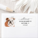 Search for english bulldog return address labels Cute