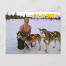 Search for sled dog postcards Alaska