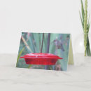 Search for humming cards Cute
