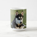 Search for siberian husky coffee mugs Portrait
