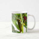 Search for grasshoppers mugs Wildlife