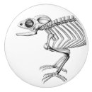 Search for lizard knobs and pulls Reptile