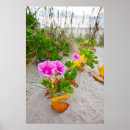 Search for ipomoea Pink